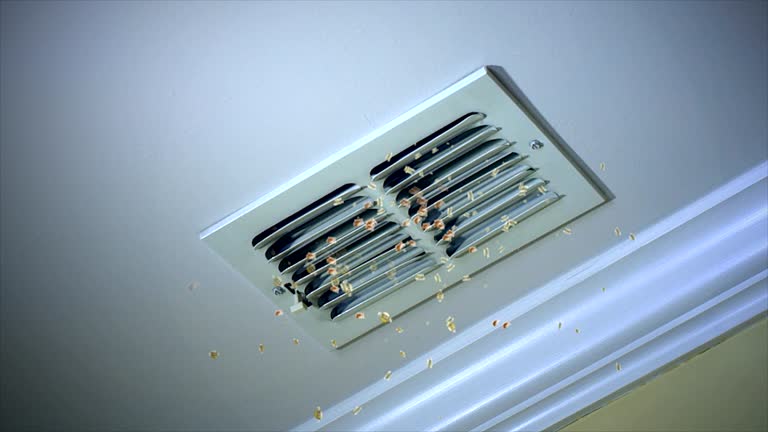 Affordable HVAC Duct Cleaning in San Antonio Heights, CA