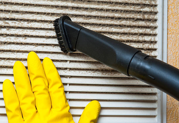 Best Professional Duct Cleaning Services  in San Antonio Heights, CA